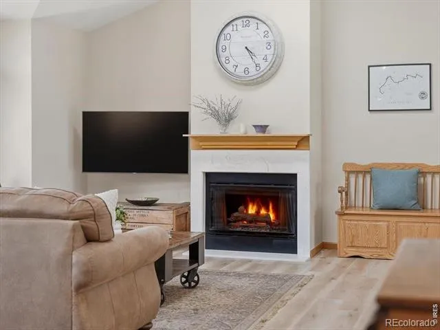 1861 Raven Avenue #1 Estes Park, CO 80517