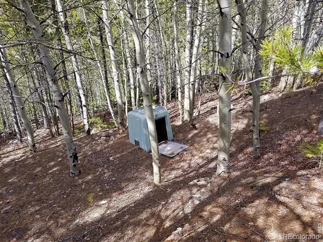 3200 Ottawa Way Red Feather Lakes, CO 80545