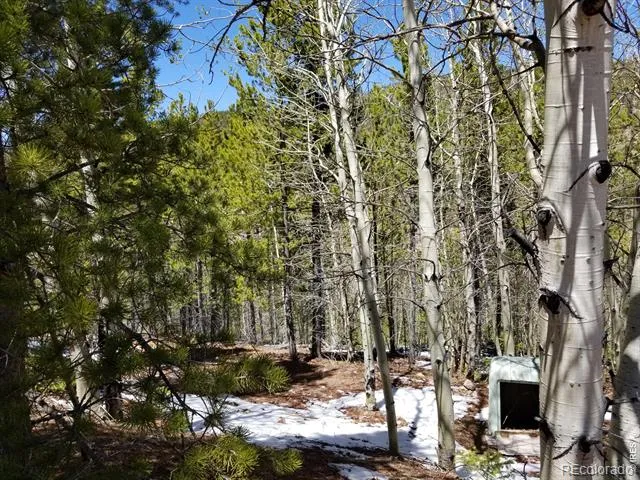 3200 Ottawa Way Red Feather Lakes, CO 80545