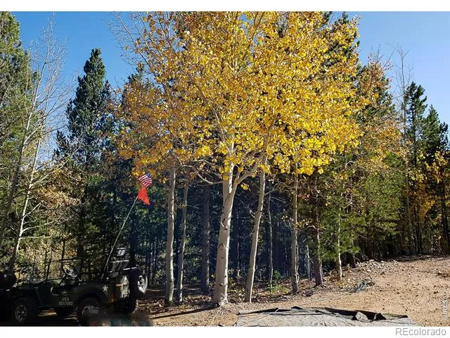 3200 Ottawa Way Red Feather Lakes, CO 80545