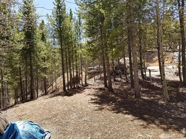 3200 Ottawa Way Red Feather Lakes, CO 80545