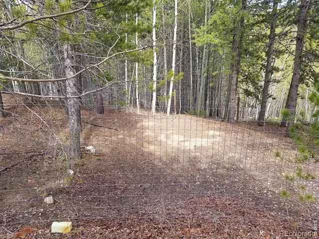 3200 Ottawa Way Red Feather Lakes, CO 80545