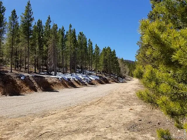 3200 Ottawa Way Red Feather Lakes, CO 80545