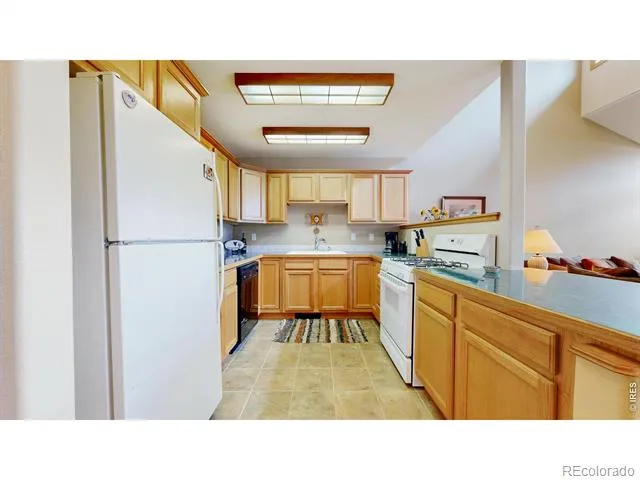 262 Steamer Court Estes Park, CO 80517