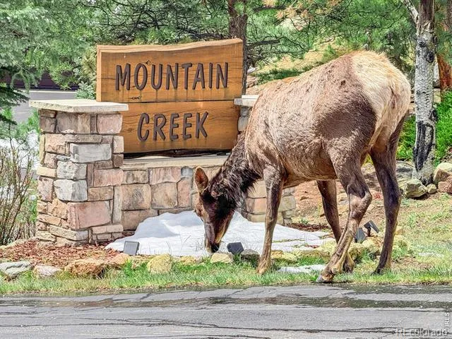 262 Steamer Court Estes Park, CO 80517