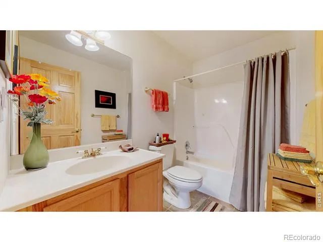 262 Steamer Court Estes Park, CO 80517