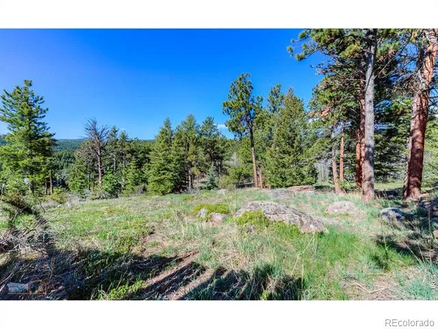 87 Sundance Circle Nederland, CO 80466