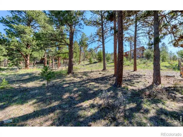 87 Sundance Circle Nederland, CO 80466
