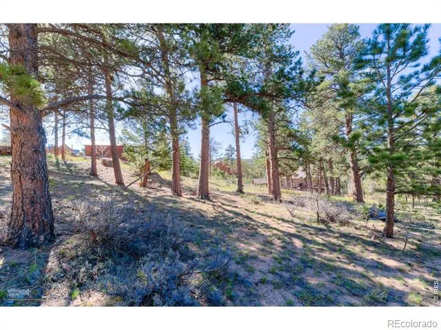 87 Sundance Circle Nederland, CO 80466