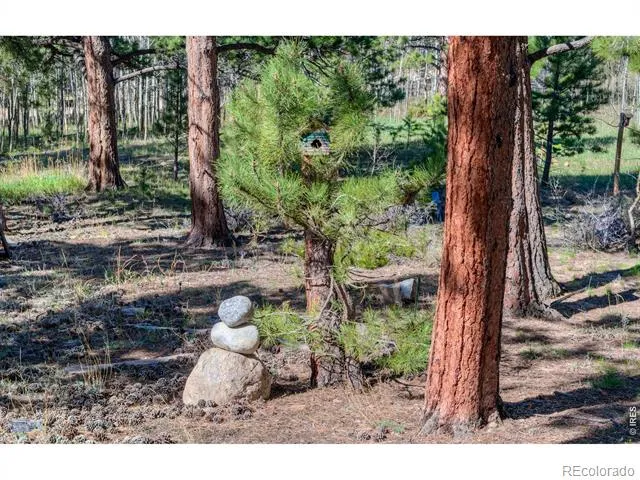 87 Sundance Circle Nederland, CO 80466