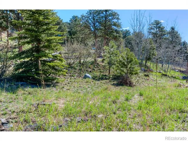 87 Sundance Circle Nederland, CO 80466