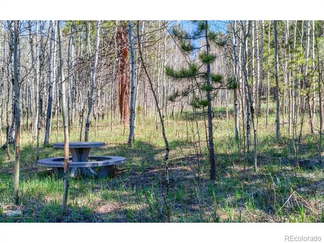 87 Sundance Circle Nederland, CO 80466