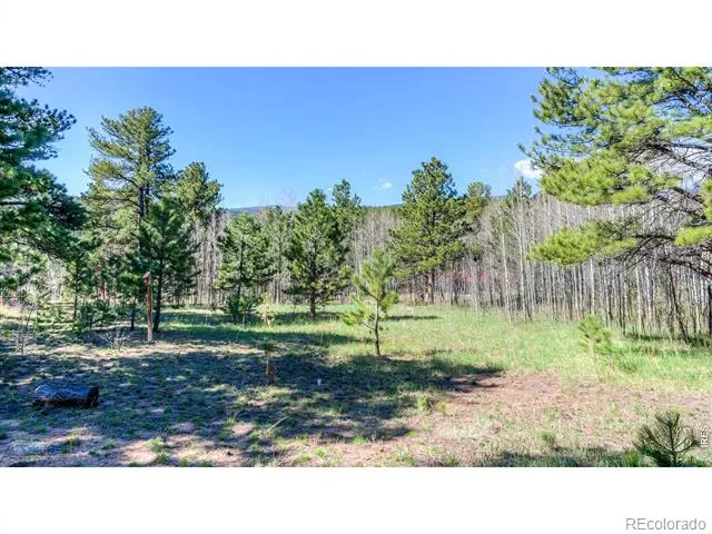 87 Sundance Circle Nederland, CO 80466