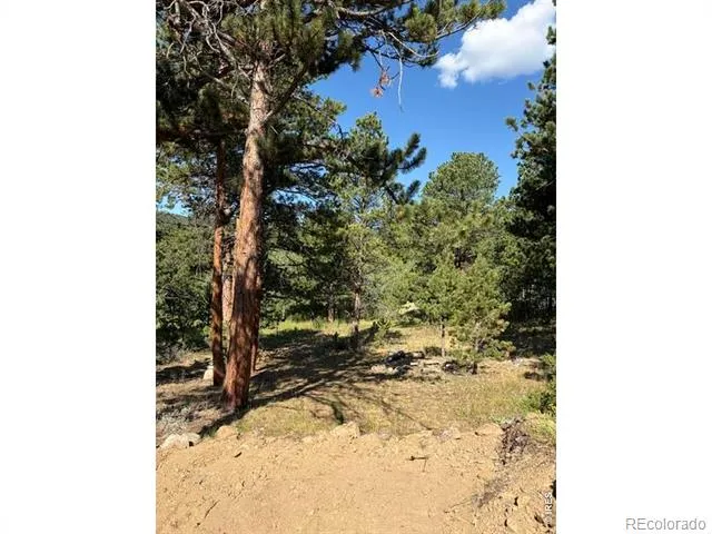 87 Sundance Circle Nederland, CO 80466
