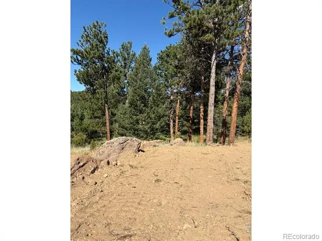 87 Sundance Circle Nederland, CO 80466