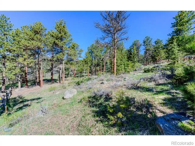 87 Sundance Circle Nederland, CO 80466