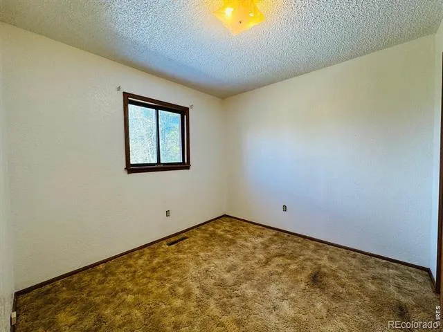 44 Alpine Lane Walden, CO 80480