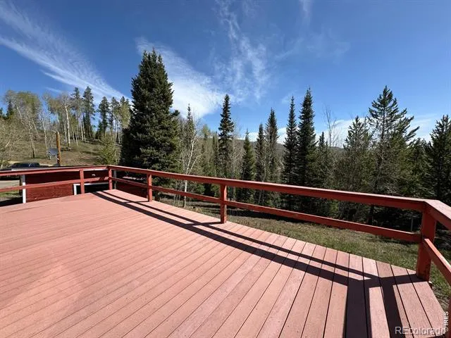 44 Alpine Lane Walden, CO 80480