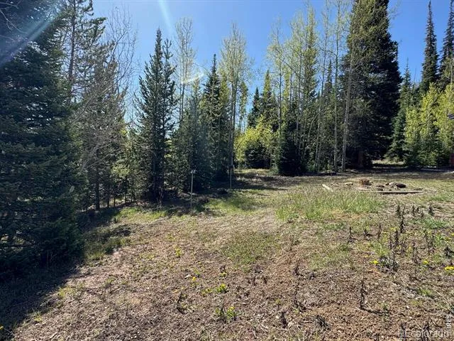 44 Alpine Lane Walden, CO 80480
