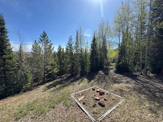 44 Alpine Lane Walden, CO 80480