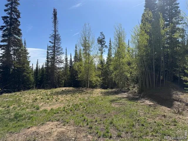 44 Alpine Lane Walden, CO 80480
