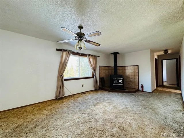 44 Alpine Lane Walden, CO 80480