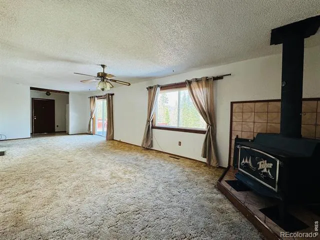 44 Alpine Lane Walden, CO 80480