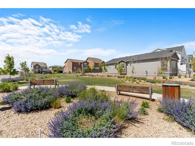 2431 Cottongrass Avenue Loveland, CO 80538