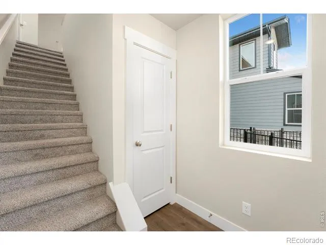 6793 Maple Leaf Drive #201 Timnath, CO 80547
