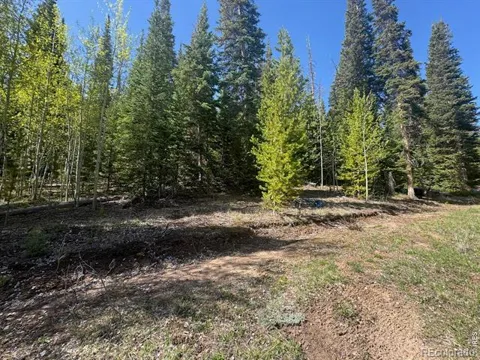 44 Wilderness Road