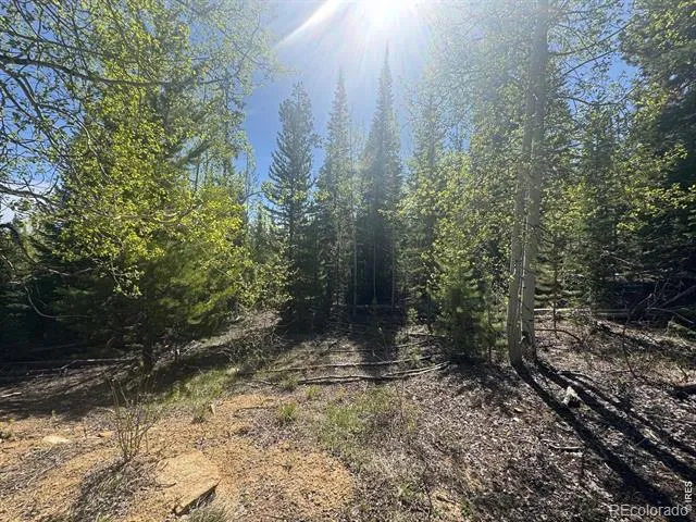 44 Wilderness Road Walden, CO 80480