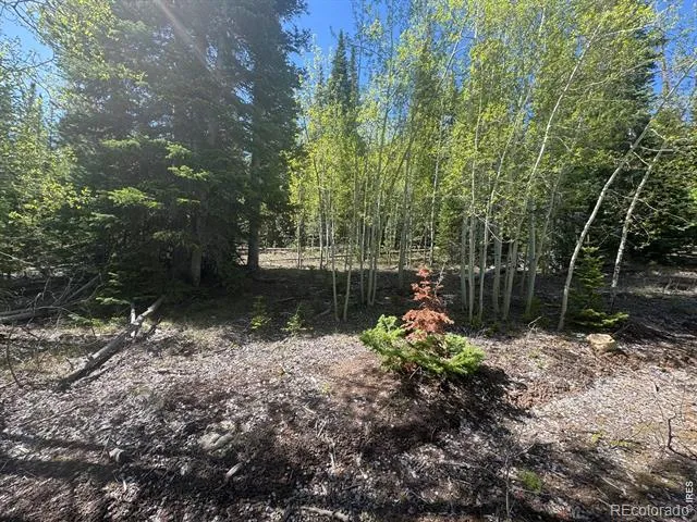 44 Wilderness Road Walden, CO 80480