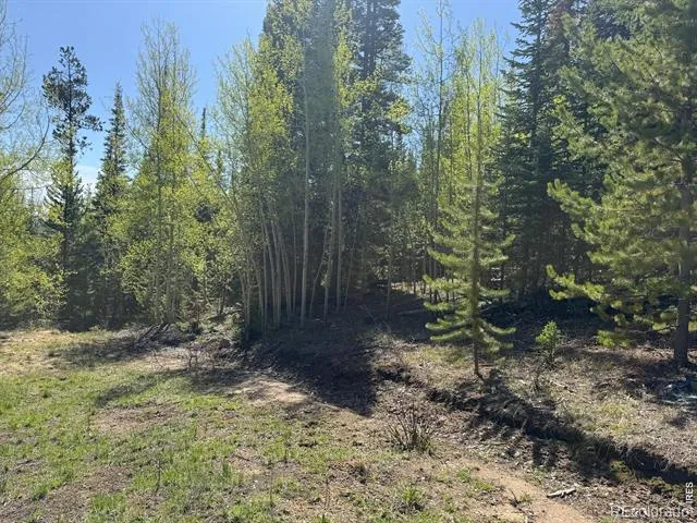 44 Wilderness Road Walden, CO 80480
