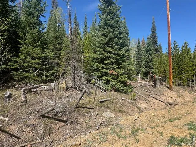 44 Wilderness Road Walden, CO 80480