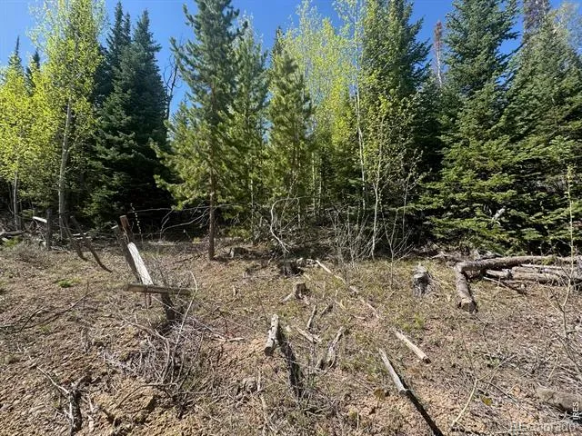 44 Wilderness Road Walden, CO 80480