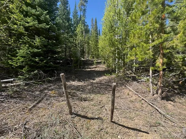 44 Wilderness Road Walden, CO 80480