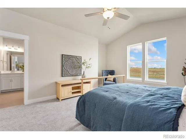 6224 Vernazza Way #2 Windsor, CO 80550