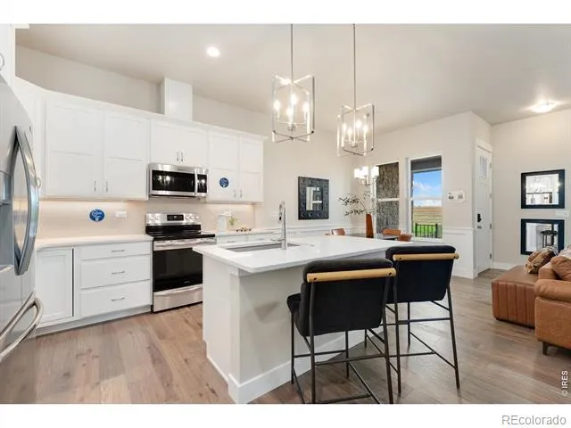 6224 Vernazza Way #2 Windsor, CO 80550