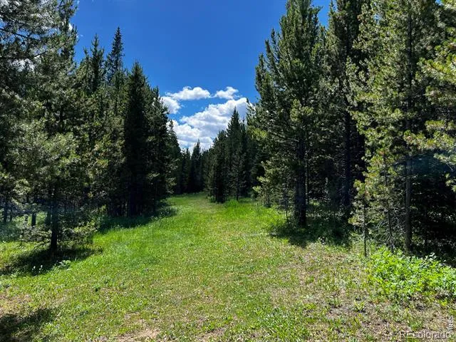 10000 Forest Road #169 Red Feather Lakes, CO 80545