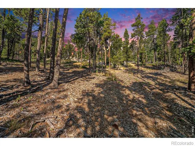 231 Granite Drive Drake, CO 80515