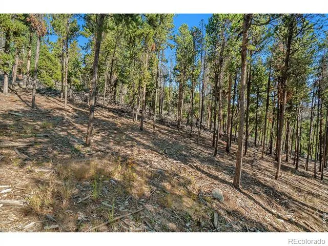 231 Granite Drive Drake, CO 80515