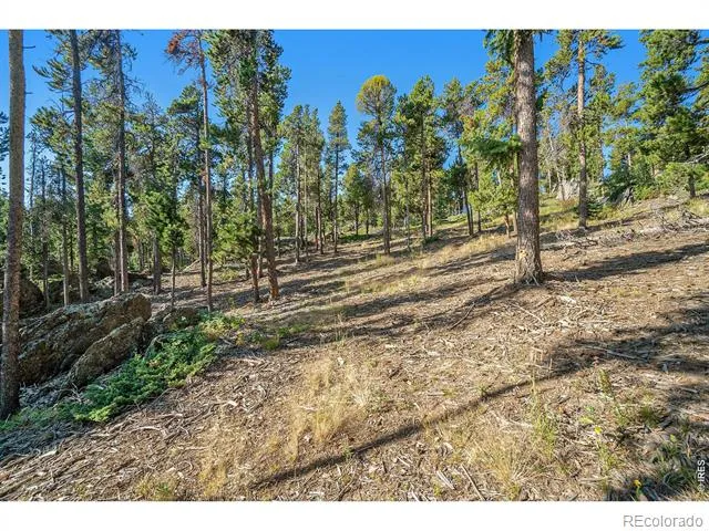 231 Granite Drive Drake, CO 80515