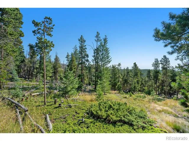 231 Granite Drive Drake, CO 80515
