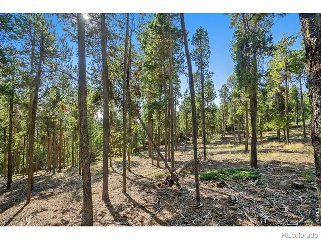 231 Granite Drive Drake, CO 80515