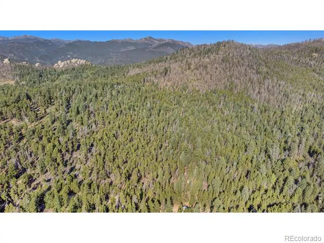 231 Granite Drive Drake, CO 80515