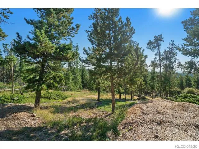 231 Granite Drive Drake, CO 80515