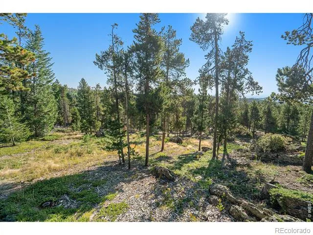 231 Granite Drive Drake, CO 80515