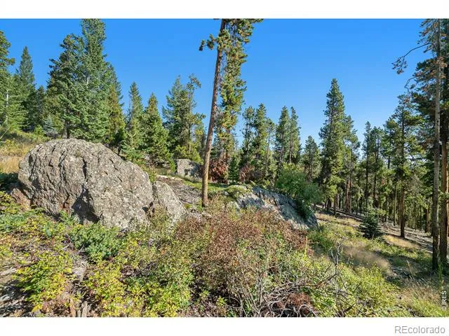 231 Granite Drive Drake, CO 80515