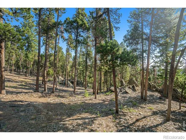 231 Granite Drive Drake, CO 80515