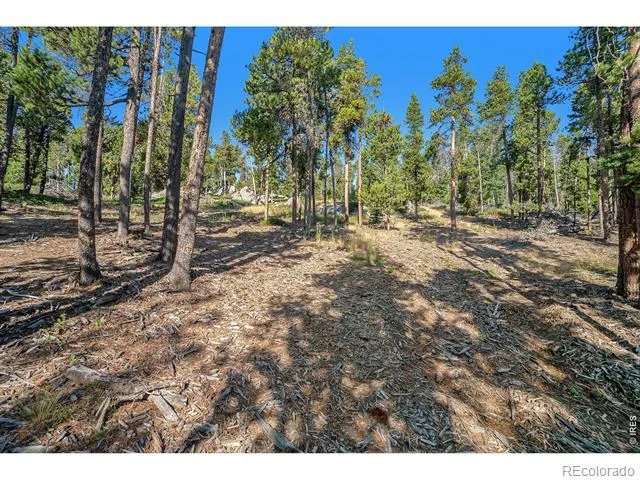 231 Granite Drive Drake, CO 80515